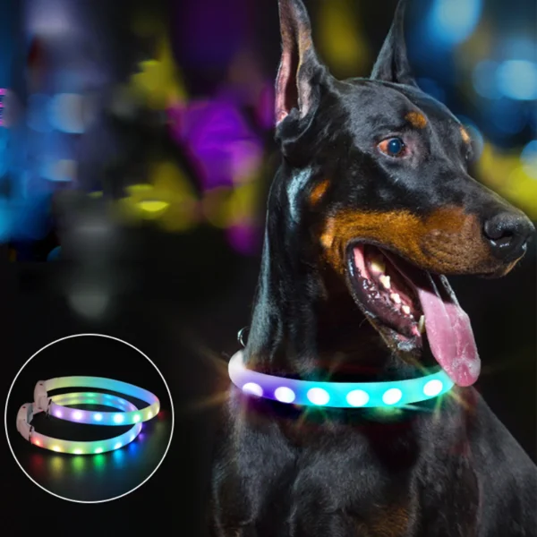 USB LED Dog Collar