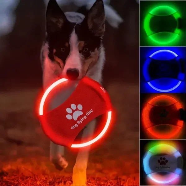 Dog LED Flying Discs