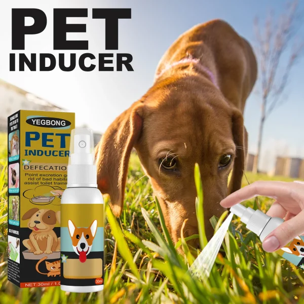 Dog Potty Training Spray