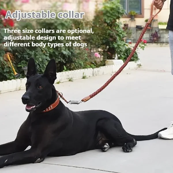 5-Foot Genuine Dog Leash with Cowhide Collar