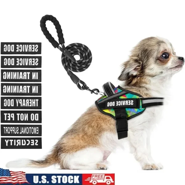 Service Dog Harness and Leash Set