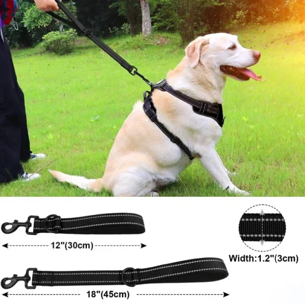30/45/60cm Short Dog Leash